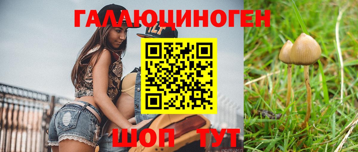 Качканар  Галлюциногенные грибы ЛСД  Вход с VPN 